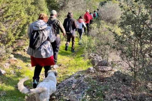 ÇAMLIK-ÖMERLİTEPE-GÜVERCİNLİK