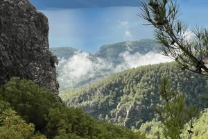 SEYİRTEPESİ AKYAKA