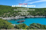 AKVARYUM KOYU FİNAL