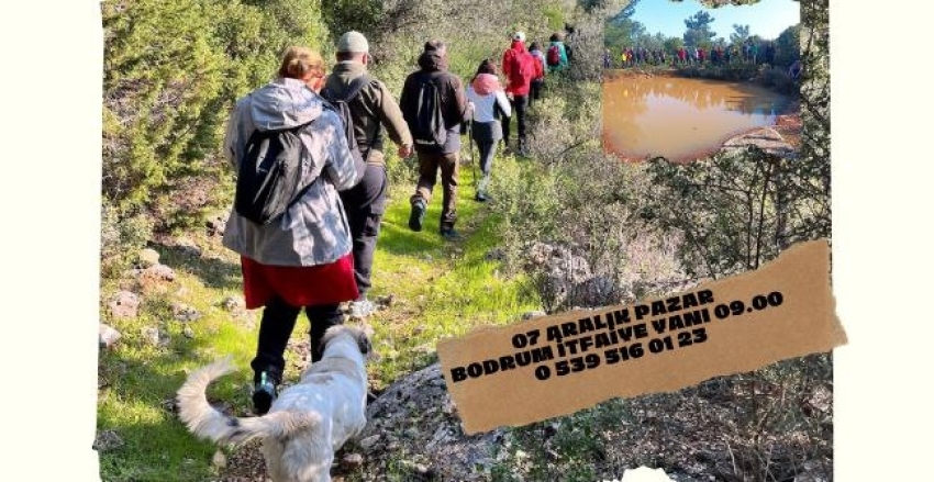 KIZILAĞAÇ-KOCADAĞ-ALAZEYTİN