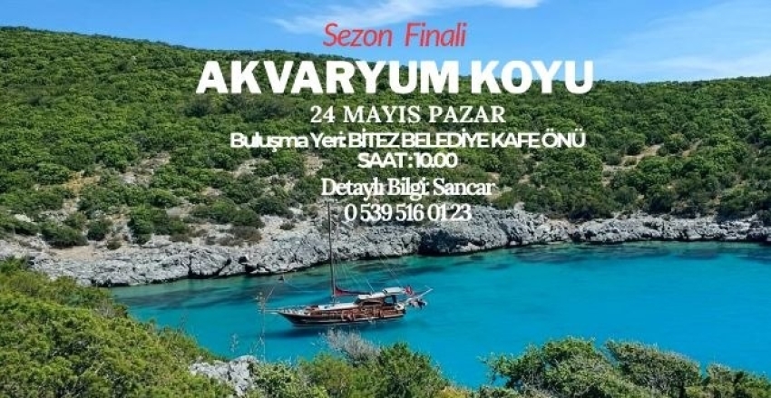 AKVARYUM KOYU FİNAL