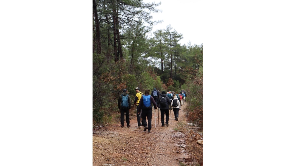 SEYİRTEPESİ AKYAKA