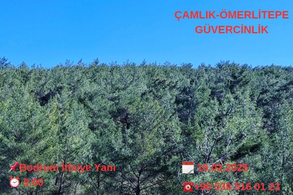 ÇAMLIK-ÖMERLİTEPE-GÜVERCİNLİK