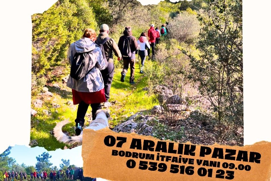 KIZILAĞAÇ-KOCADAĞ-ALAZEYTİN