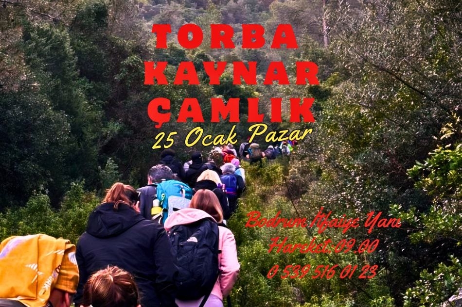 TORBA KAYNAR ÇAMLIK