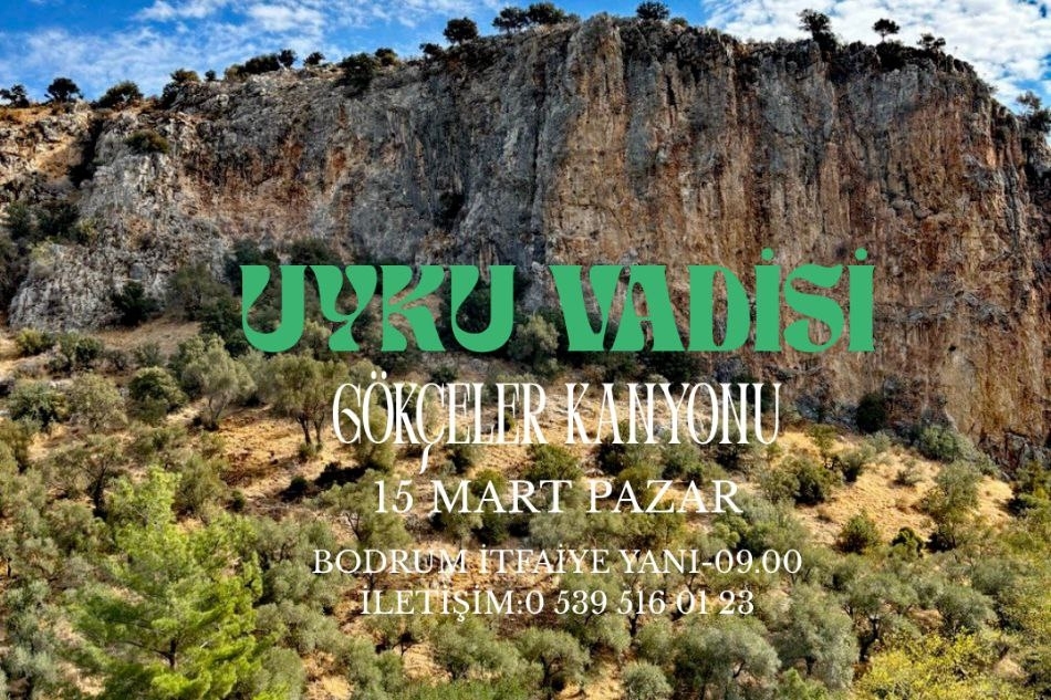 GÖKÇELER-UYKUVADİSİ