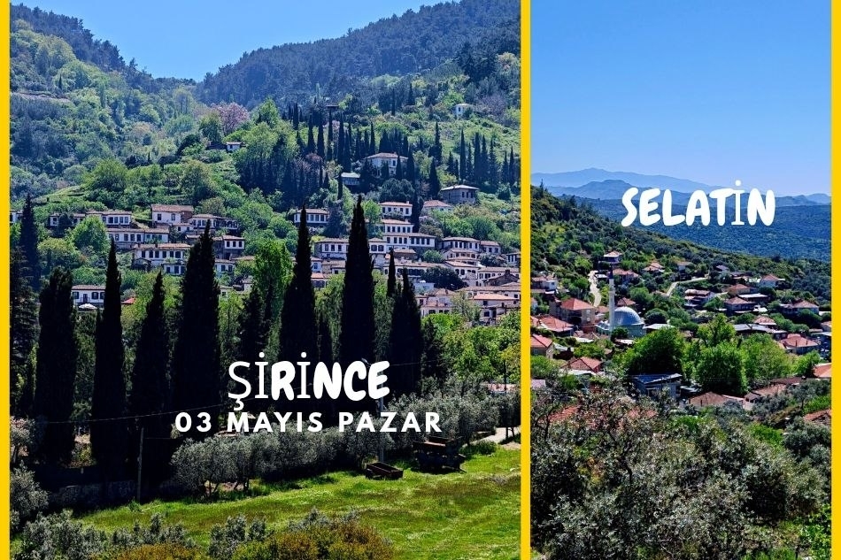 SELATİN-ŞİRİNCE