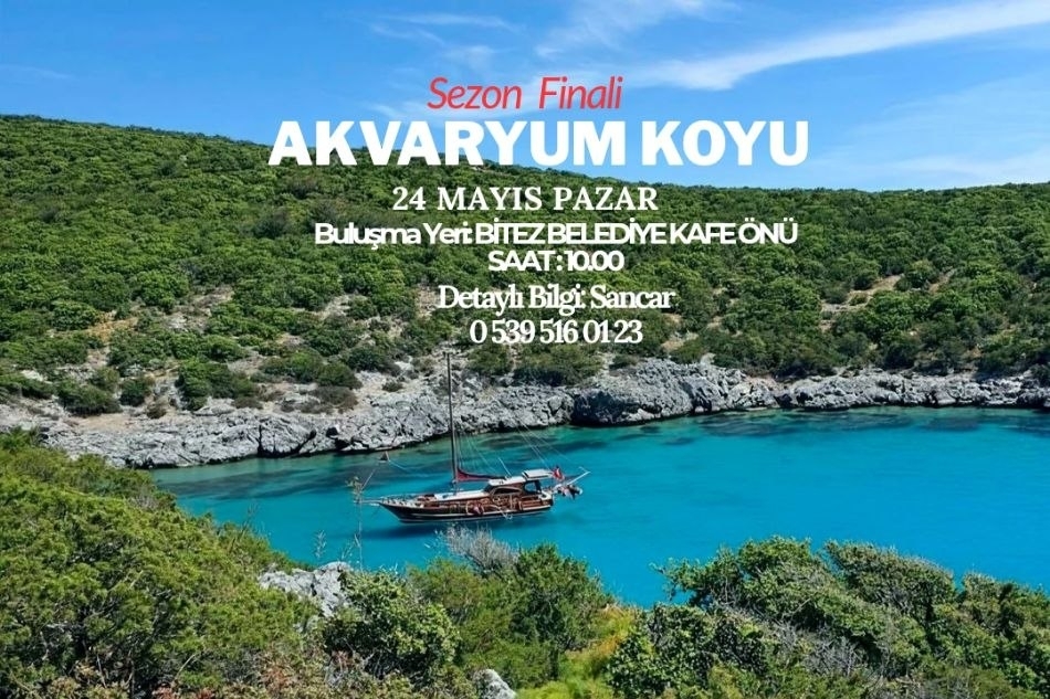 AKVARYUM KOYU FİNAL
